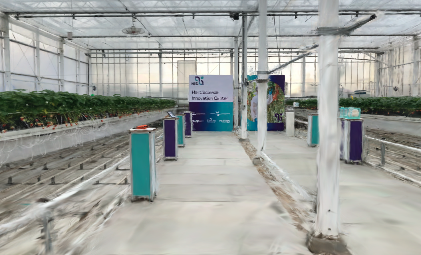 Greenhouse 3D model